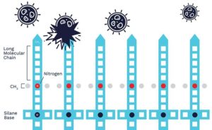 ZOONO_Molecule-diagram